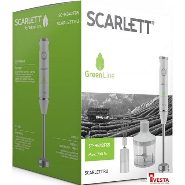 Погружной блендер Scarlett SC-HB42F65
