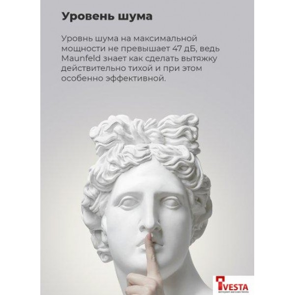 Кухонная вытяжка MAUNFELD VS Fast 60 (нержавеющая сталь)
